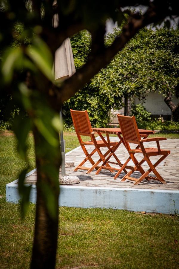 Zeusplace Poolvilla Natura Paralia Kateríni المظهر الخارجي الصورة